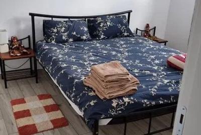 Apartament cu 2 camere, mobilat în Ozana - 8
