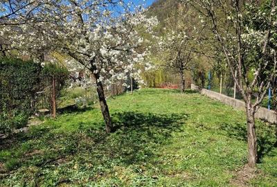 Casă cu 4 camere în Băile Herculane - 5