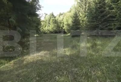 Teren de 16945 mp, în Central - 3