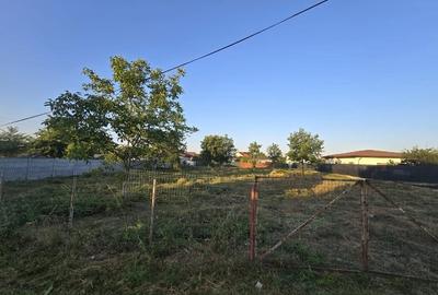 Teren Construcții intravilan de 1250 mp, în Mogoșoaia - 3