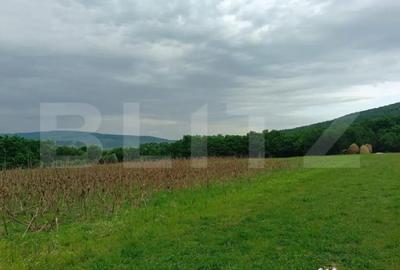 Teren de 5075 mp, în Dej - 3