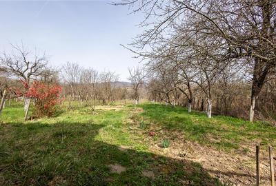 Casă individuală cu 3 camere cu Garaj în Viperești - 6