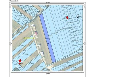 Teren de 5000 mp, în Gulia - 6