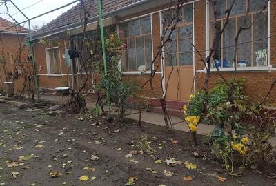 Casă cu 3 camere cu Teren 1500 Mp în Fibiș - 2