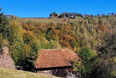 Teren extravilan in localitatea Bulz - 13