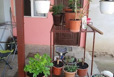 Apartament la curte comuna - 5