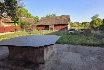 Casa cu teren generos de vanzare in Sanandrei aproape de Primarie ?i centrul localita?ii - 1