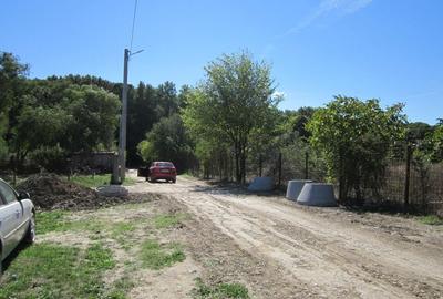 Domnesti Teghes-Padurarului - 13