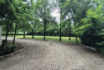 Teren în Afumați - 6