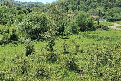 Spațiu comercial, în Crușovița - 3