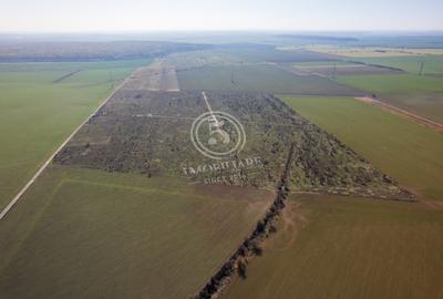 Teren Construcții intravilan de 1118 mp, în Periș - 7