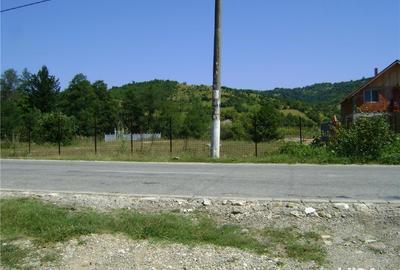 Teren de 2100 mp, în Eșelnița - 1