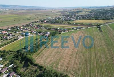 Teren de 7366 mp, în Sărata - 9