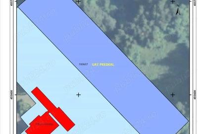 Teren de 10000 mp, în Timișu de Jos - 1