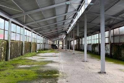 Spațiu industrial, de 800 mp, în Piața Centrală - 6