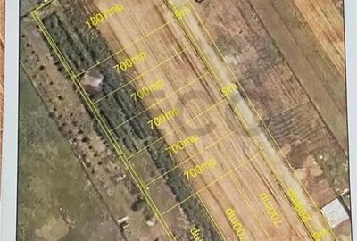 Teren de 7500 mp, în Biharia - 2