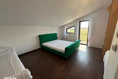 Casă cu 4 camere cu Teren 260 Mp în Chitila - 6