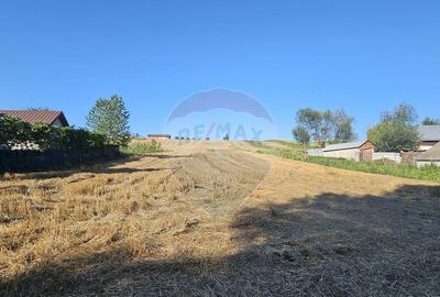 Teren intravilan, 7500 mp in Moara Carp / Strada Eternita... - 4