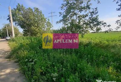 Teren de 5000 mp, în Copăceni - 15