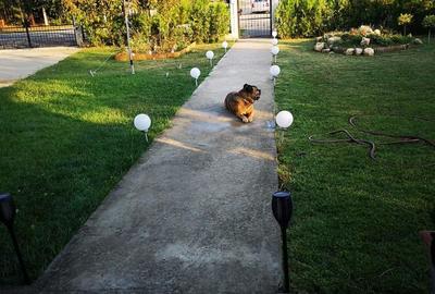 Casă individuală cu 5 camere cu Canalizare în Nord-Vest - 39