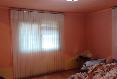 Casa garnde , Carpinis Timisoara - 12