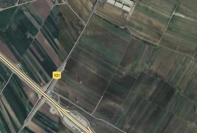 Ilfov, intre Magurele si Darasti - 3