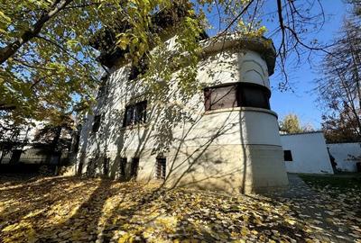 Casa de închiriat zona Kiseleff - 8