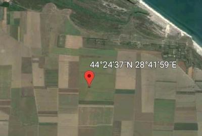 Teren de 10000 mp, în Corbu - 2