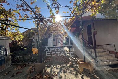 Casa individuala, teren 671mp, 2 fronturi, Complexul Studentesc - 3