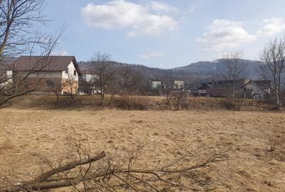 Teren de 2150 mp, în Central - 3