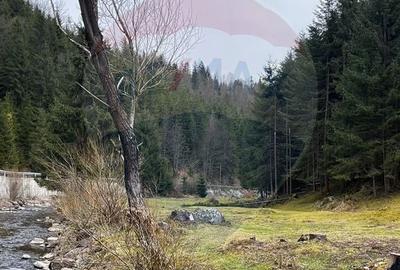 Spațiu comercial, în Arieșeni - 8