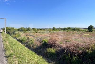 Teren Construcții intravilan de 2559 mp, în Exterior Vest - 2