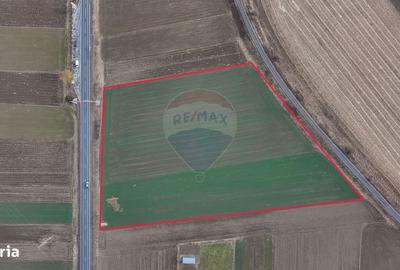 Spațiu comercial, în Lunca Calnicului - 11