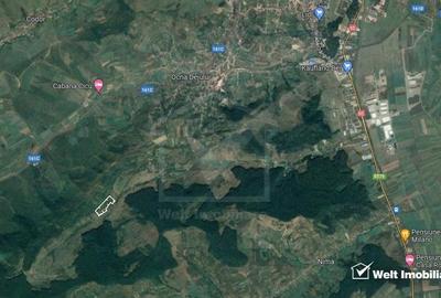 Teren extravilan, Valea Chiejdului, 5 ha, expunere S-E - 3