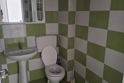 Garsoniera Brancoveanu adiacent - 15