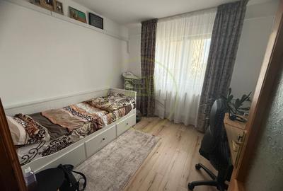 Apartament cu 3 camere semidecomandat, mobilat în Brazda lui Novac - 6