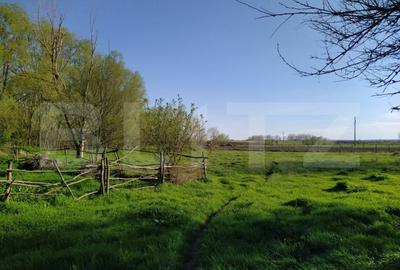 Teren Construcții extravilan de 29600 mp, în Nord-Vest - 15