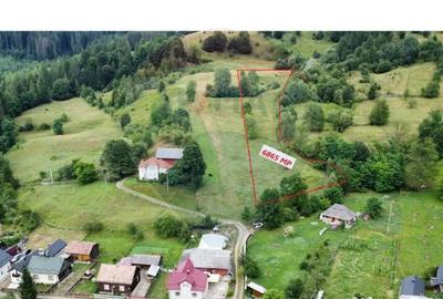 Teren de 6865 mp, în Voroneț - 18