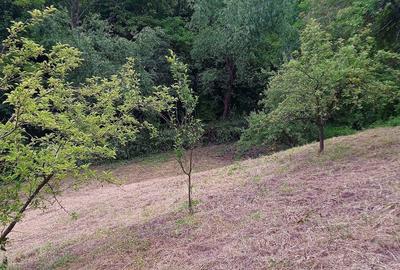 Vand casa sat Badeni, com. Moldovene?ti, jud. Cluj Vand casa sat Badeni, com. Moldovene?ti, jud. Cluj - 6