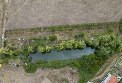 Teren de 7900 mp cu balta de pescuit in Frumu?eni - 3