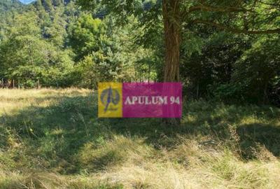 Teren Jude?ul Valcea - Brezoi, Valea lui Stan - 11