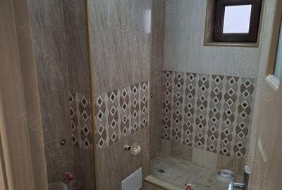 Apartament cu 2 camere decomandat în Siderurgiștilor - 3