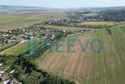 Teren de vanzare, Com. Sarata, Jud. Bacau - 2