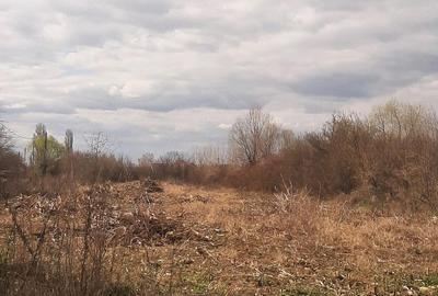 Teren de 2000 mp, în Sânnicolau Român - 8