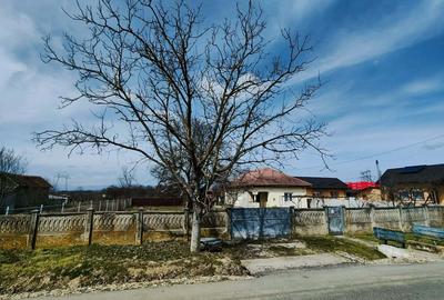 Casă cu 4 camere în Budieni - 1