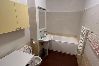 Apartament cu 2 camere decomandat, mobilat în Mihai Bravu - 10