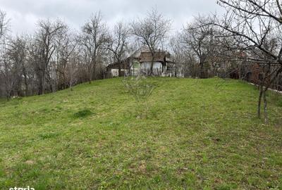Spațiu comercial, în Șotrile - 9
