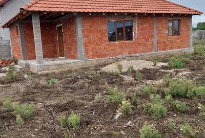 Casă cu 2 camere cu Teren 987 Mp în Peciu Nou - 9