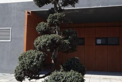 Apartament cu 3 camere semidecomandat în Bună Ziua - 9