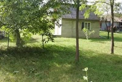 Teren de 5000 mp, în Pălatca - 1